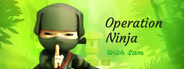 operation ninja