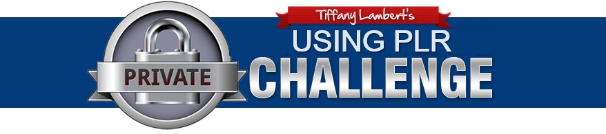 How to Use PLR Challenge